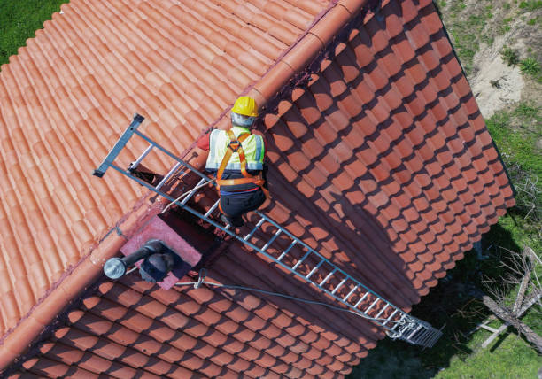 Best Roof Moss and Algae Removal  in Marvin, NC